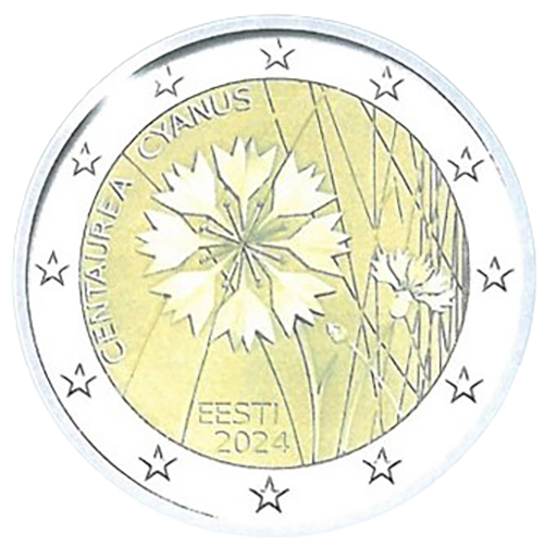 The cornflower – Estonian national flower