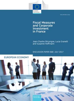 Fiscal Measures and Corporate Investment in France