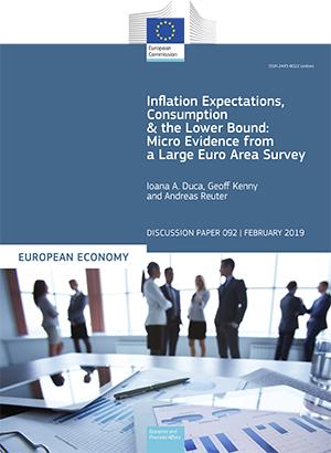 Inflation Expectations, Consumption and the Lower Bound: Micro Evidence from a Large Euro Area Survey