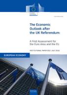 The Economic Outlook after the UK Referendum: A First Assessment for the Euro Area and the EU