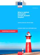 What is behind Denmark’s Current Account Surplus?