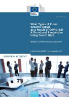 What Types of Firms Become Illiquid as a Result of COVID-19? A Firm-Level Perspective Using French Data