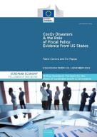Fellowship Initiative 2020-2021 “Costly Disasters and the Role of Fiscal Policy: Evidence from US States"