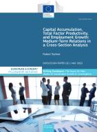 Fellowship Initiative 2020-2021 “Capital Accumulation, Total Factor Productivity, and Employment Growth: Medium-Term Relations in a Cross-Section Analysis”