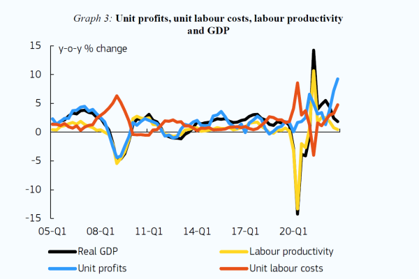 Profit margins and their role in euro area inflation