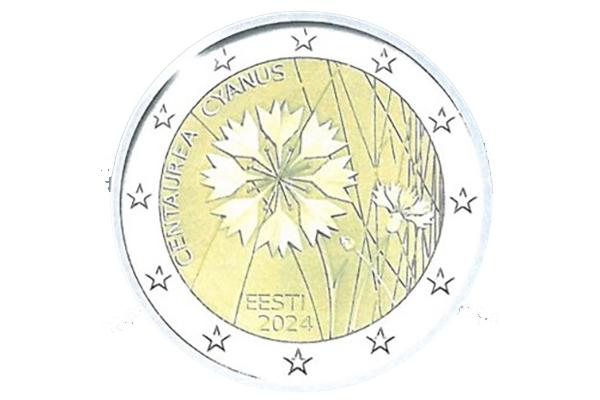 The cornflower – Estonian national flower